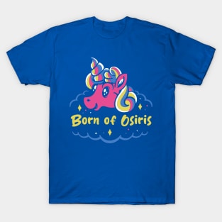 born and the unicorn T-Shirt